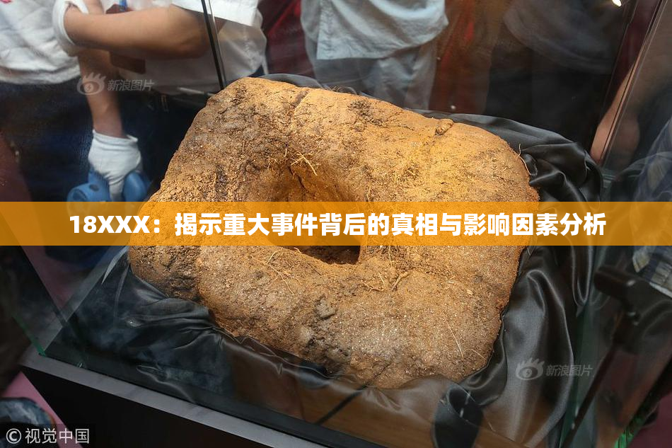 18XXX：揭示重大事件背后的真相与影响因素分析