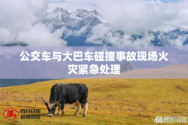 公交车与大巴车碰撞事故现场火灾紧急处理
