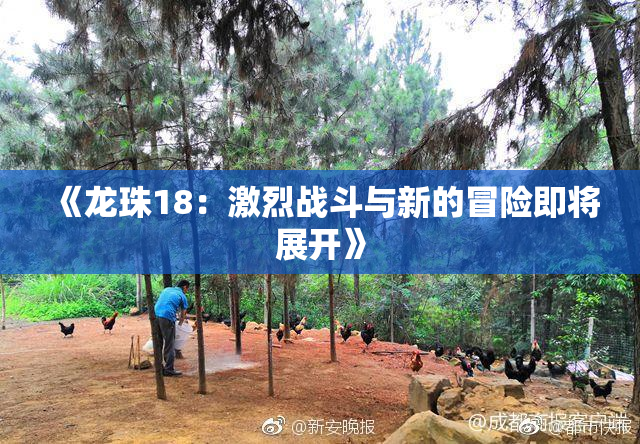 《龙珠18：激烈战斗与新的冒险即将展开》