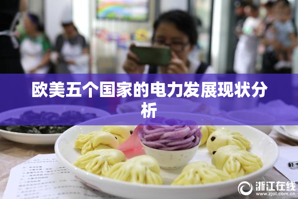 欧美五个国家的电力发展现状分析