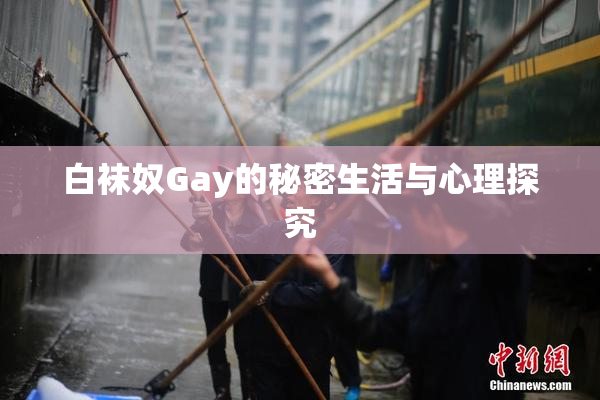 白袜奴Gay的秘密生活与心理探究