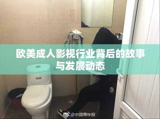 欧美成人影视行业背后的故事与发展动态