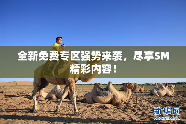 全新免费专区强势来袭，尽享SM精彩内容！