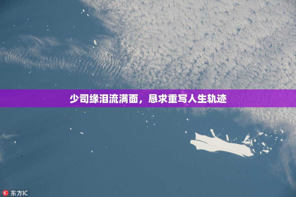 少司缘泪流满面，恳求重写人生轨迹