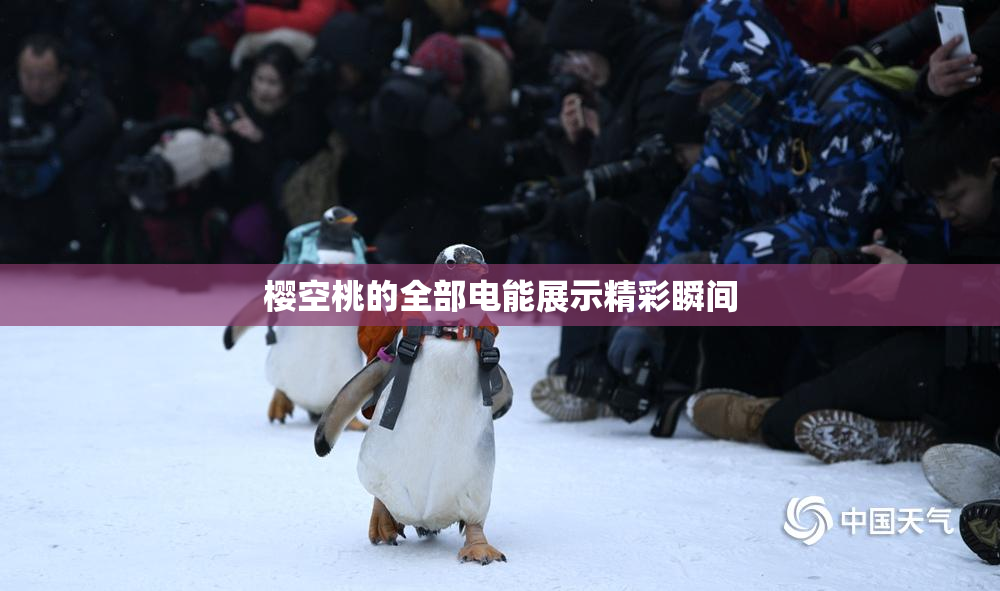 樱空桃的全部电能展示精彩瞬间