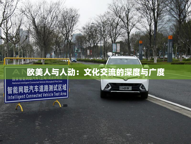 欧美人与人动：文化交流的深度与广度