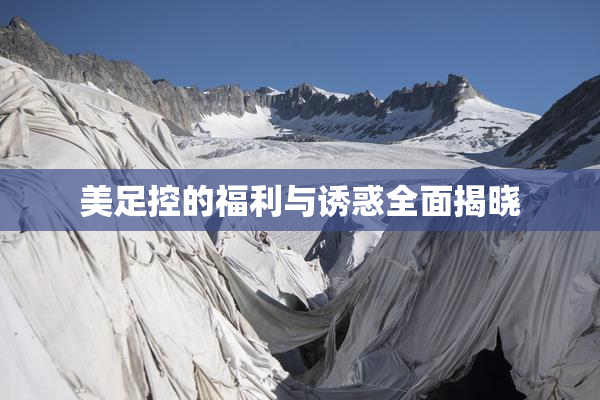 美足控的福利与诱惑全面揭晓