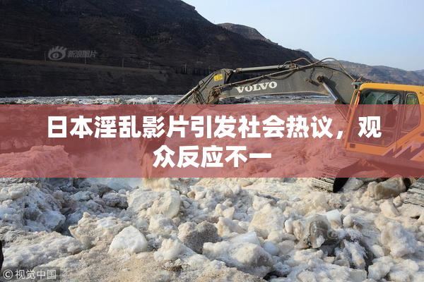 日本淫乱影片引发社会热议，观众反应不一