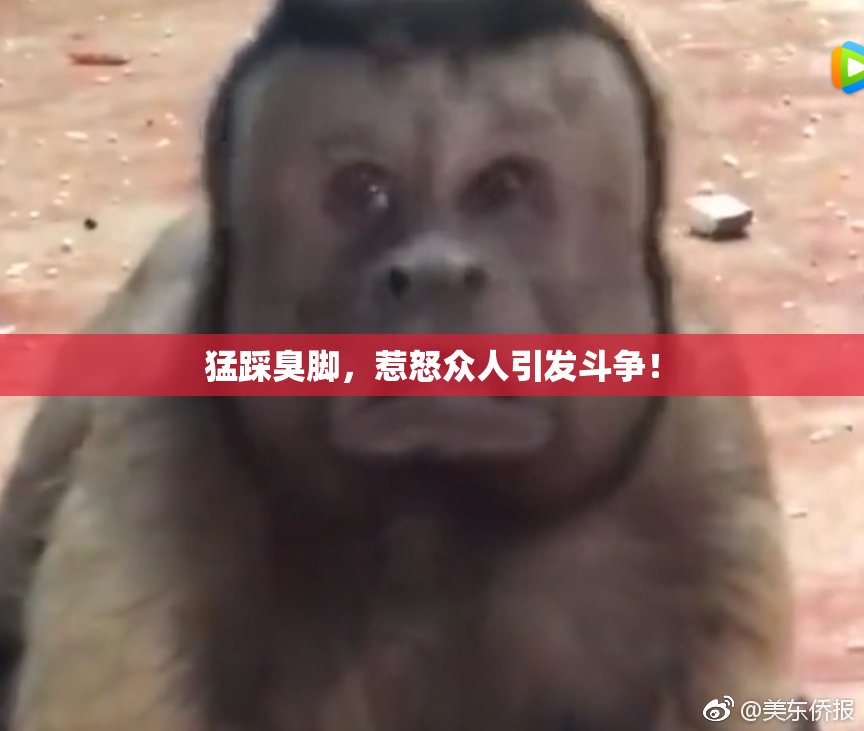 猛踩臭脚，惹怒众人引发斗争！