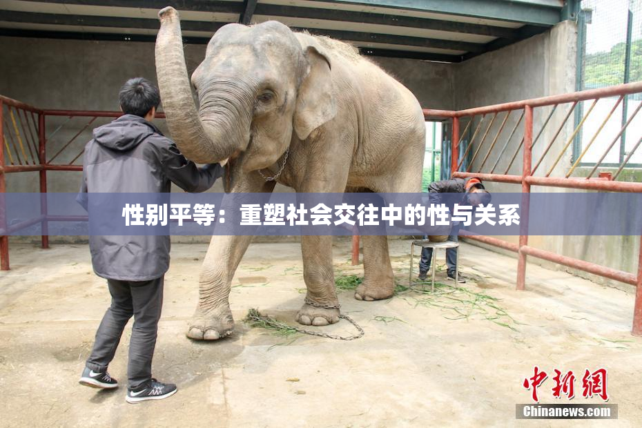 性别平等：重塑社会交往中的性与关系