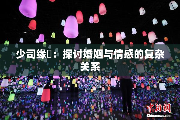 少司缘婬：探讨婚姻与情感的复杂关系