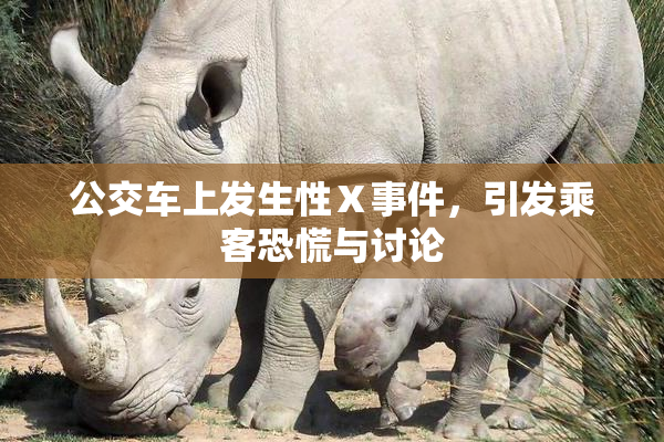 公交车上发生性Ⅹ事件，引发乘客恐慌与讨论