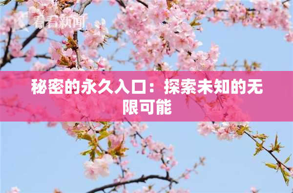 秘密的永久入口：探索未知的无限可能