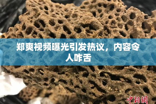 郑爽视频曝光引发热议，内容令人咋舌