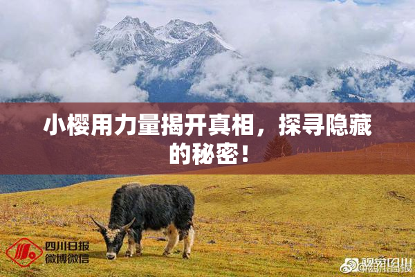 小樱用力量揭开真相，探寻隐藏的秘密！