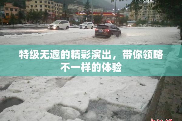 特级无遮的精彩演出，带你领略不一样的体验