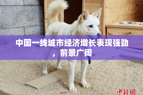 中国一线城市经济增长表现强劲，前景广阔