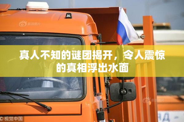 真人不知的谜团揭开，令人震惊的真相浮出水面