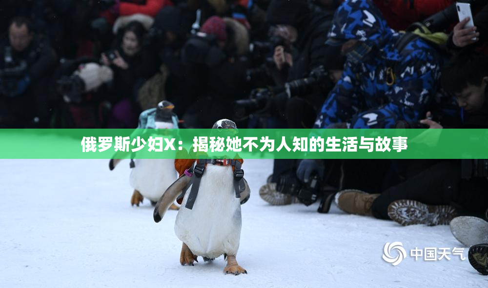 俄罗斯少妇X：揭秘她不为人知的生活与故事