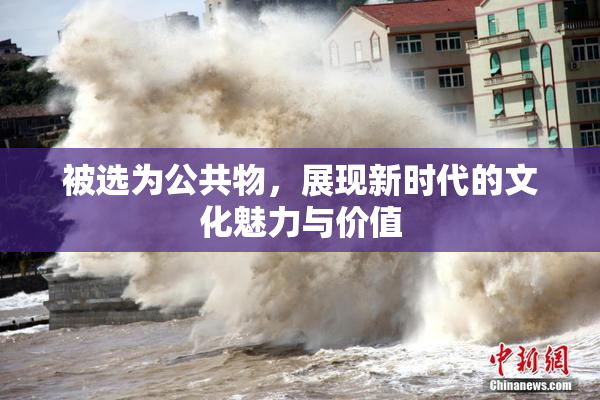 被选为公共物，展现新时代的文化魅力与价值