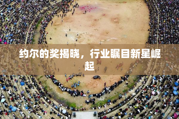 约尔的奖揭晓，行业瞩目新星崛起