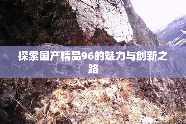 探索国产精品96的魅力与创新之路