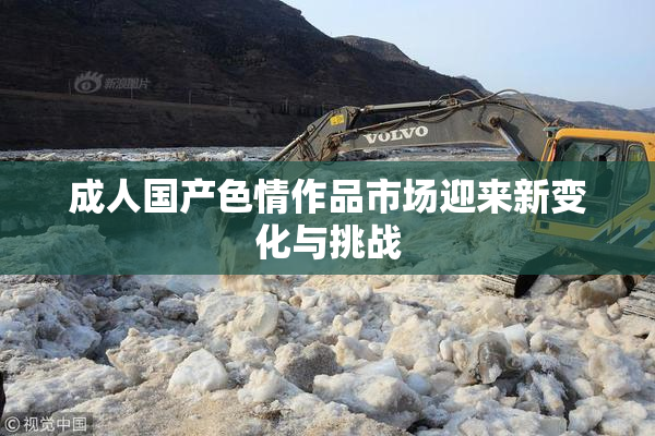 成人国产色情作品市场迎来新变化与挑战