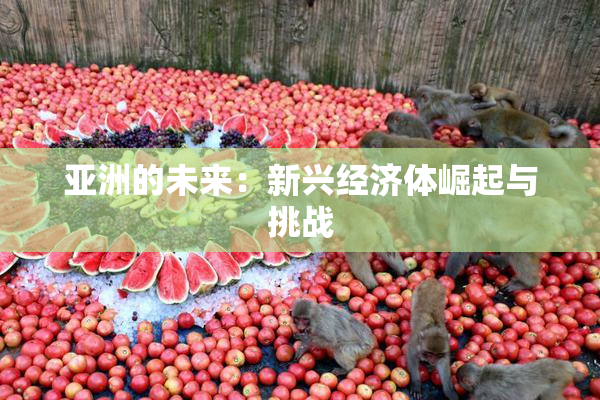 亚洲的未来：新兴经济体崛起与挑战