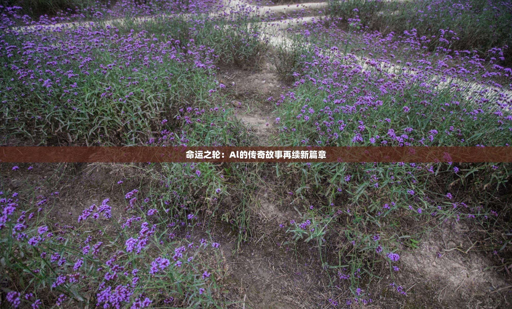 命运之轮：Al的传奇故事再续新篇章
