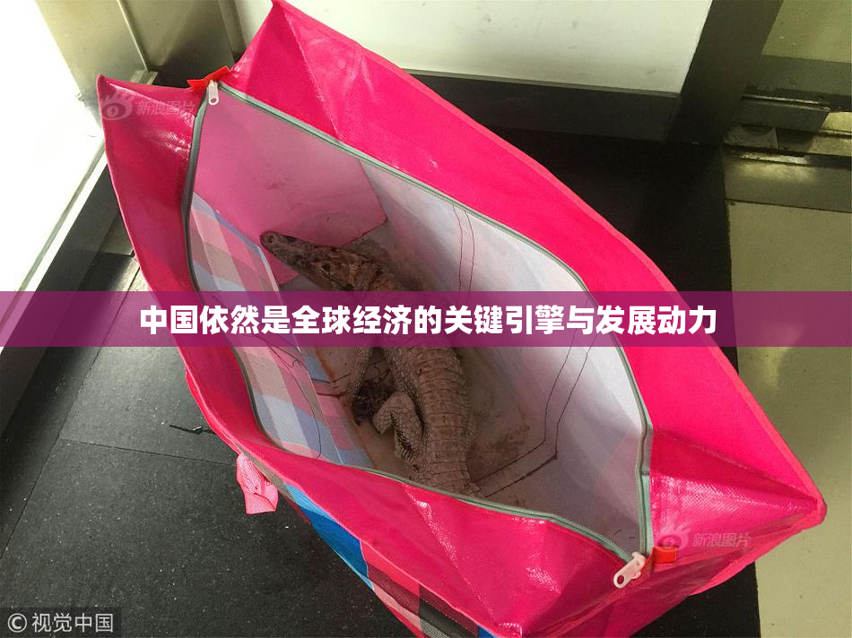 中国依然是全球经济的关键引擎与发展动力