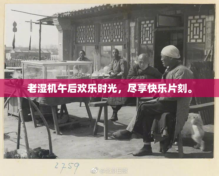 老湿机午后欢乐时光，尽享快乐片刻。