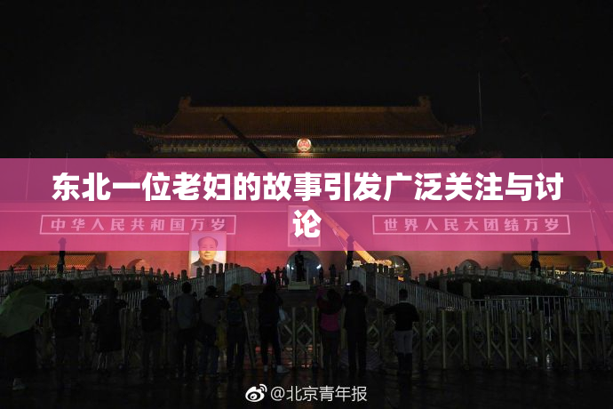 东北一位老妇的故事引发广泛关注与讨论