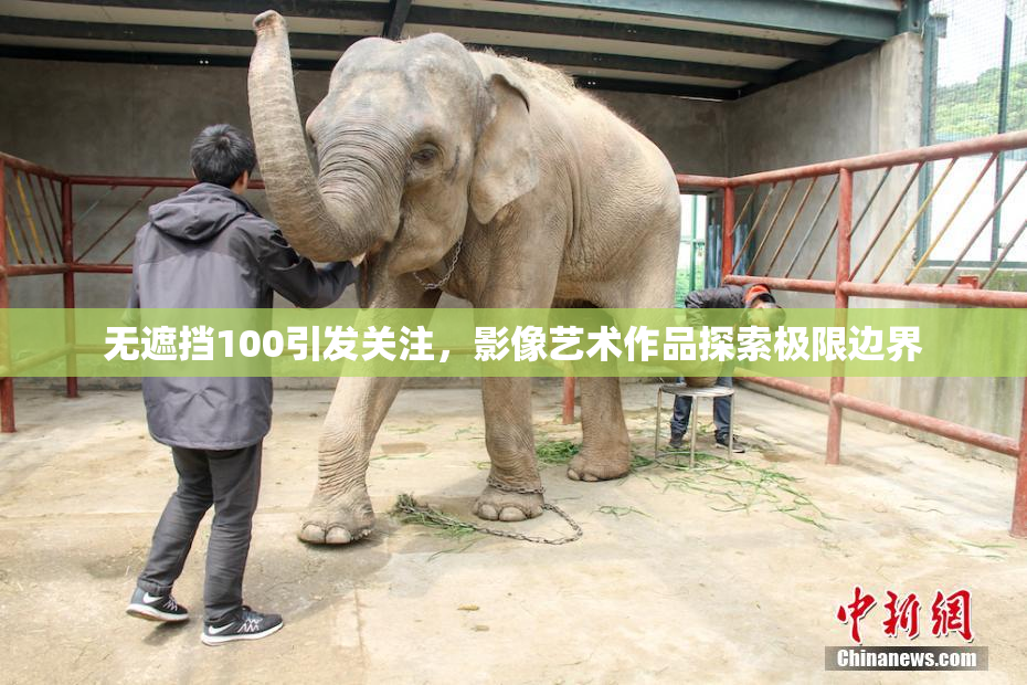 无遮挡100引发关注，影像艺术作品探索极限边界