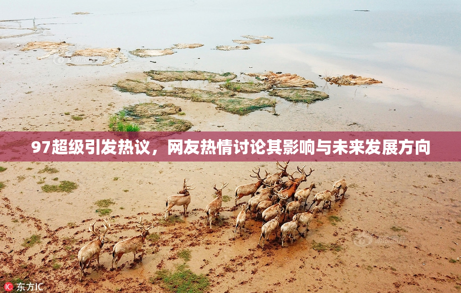 97超级引发热议，网友热情讨论其影响与未来发展方向