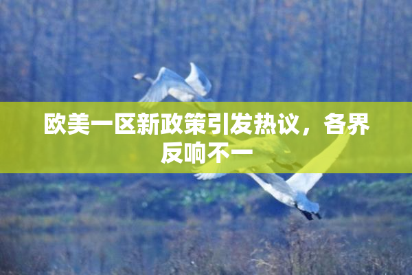 欧美一区新政策引发热议，各界反响不一
