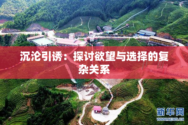 沉沦引诱：探讨欲望与选择的复杂关系