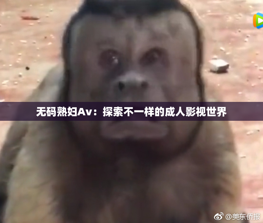 无码熟妇Av：探索不一样的成人影视世界