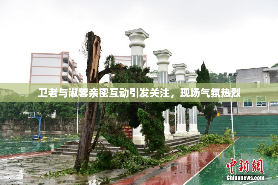 卫老与淑蓉亲密互动引发关注，现场气氛热烈
