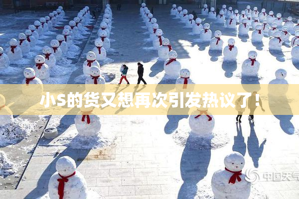 小S的货又想再次引发热议了！