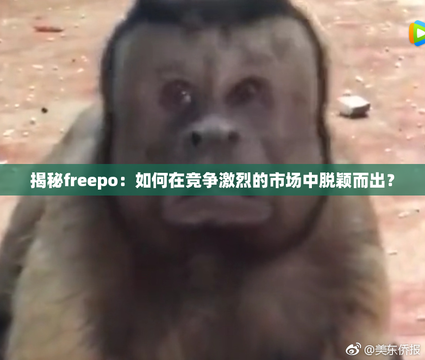 揭秘freepo：如何在竞争激烈的市场中脱颖而出？