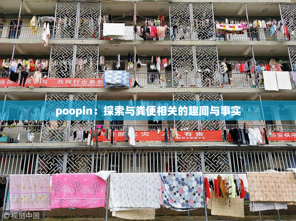 poopin：探索与粪便相关的趣闻与事实