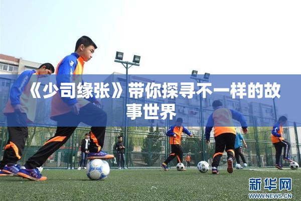 《少司缘张》带你探寻不一样的故事世界