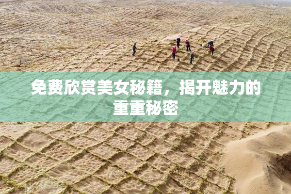 免费欣赏美女秘籍，揭开魅力的重重秘密