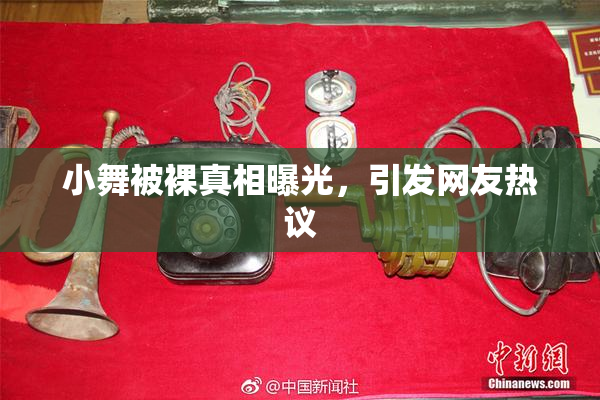小舞被裸真相曝光，引发网友热议