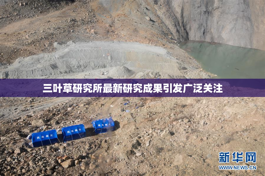三叶草研究所最新研究成果引发广泛关注