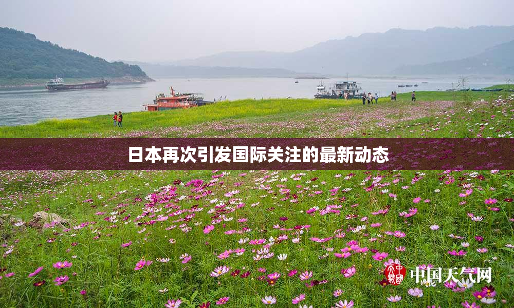 日本再次引发国际关注的最新动态