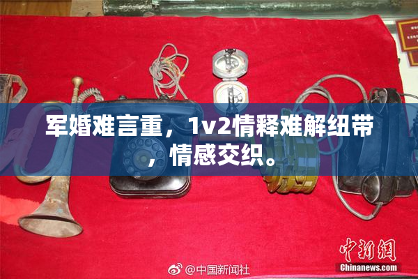 军婚难言重，1v2情释难解纽带，情感交织。