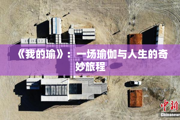 《我的瑜》：一场瑜伽与人生的奇妙旅程
