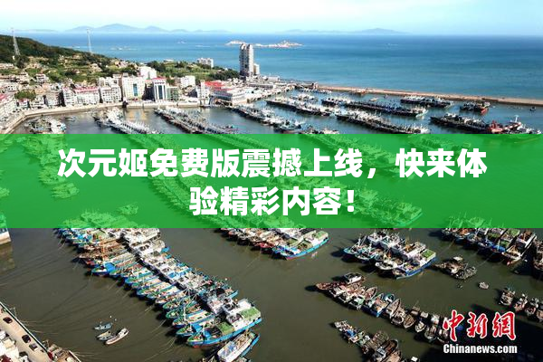 次元姬免费版震撼上线，快来体验精彩内容！