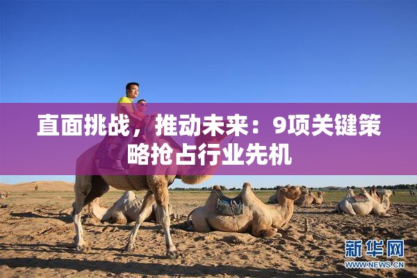 直面挑战，推动未来：9项关键策略抢占行业先机